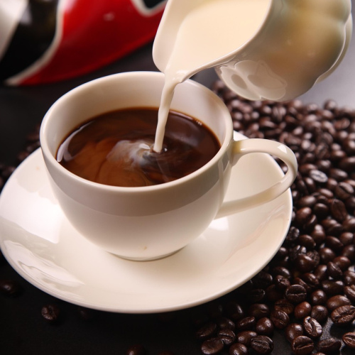 Roaster's Choice