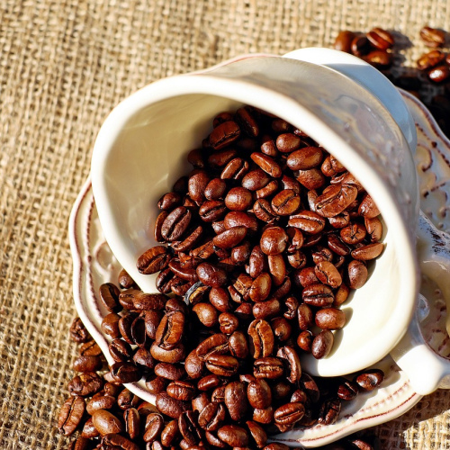 Morning Light Blend
